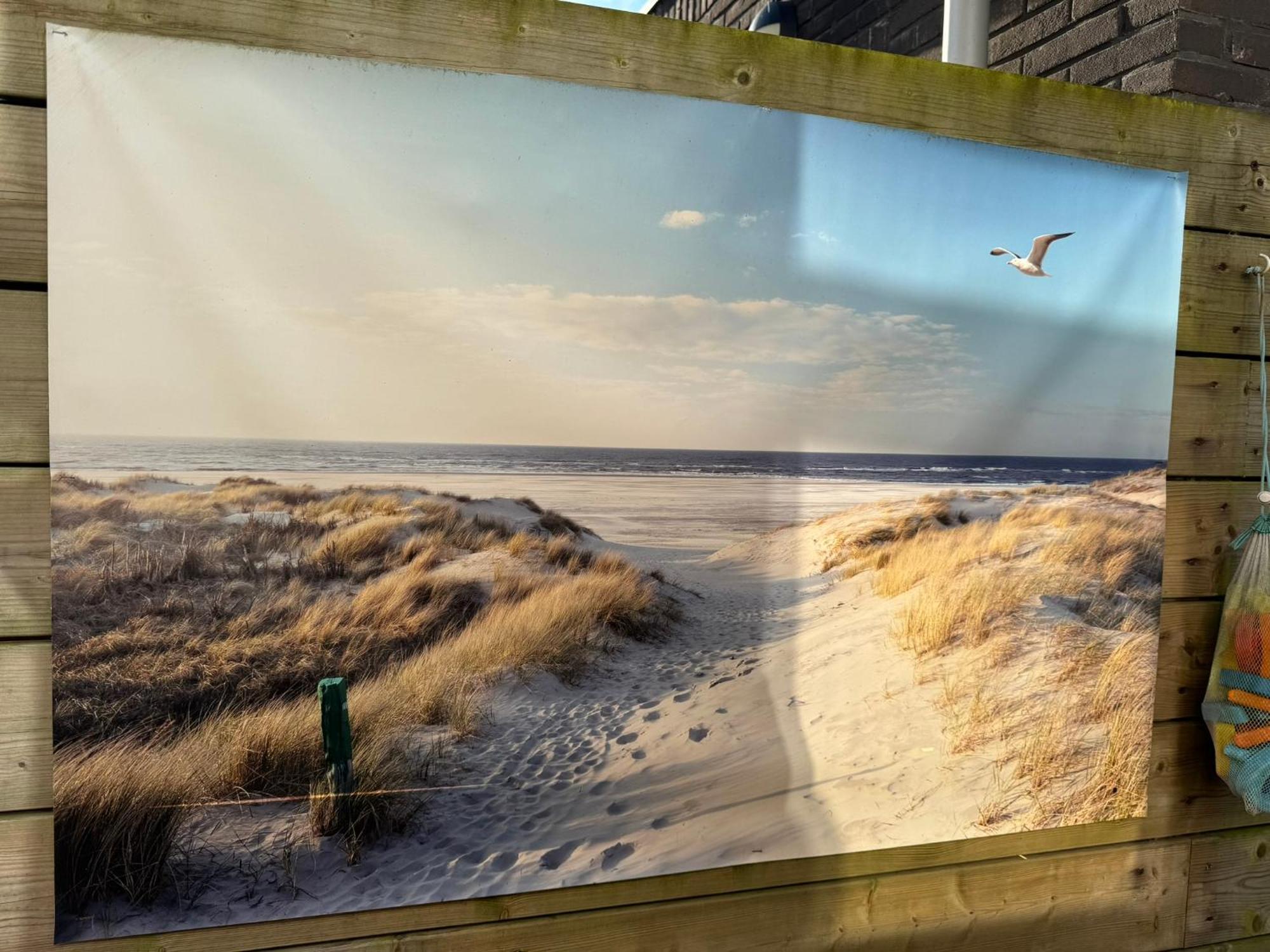 海边的艾格蒙特Coastal Dreaming别墅 外观 照片